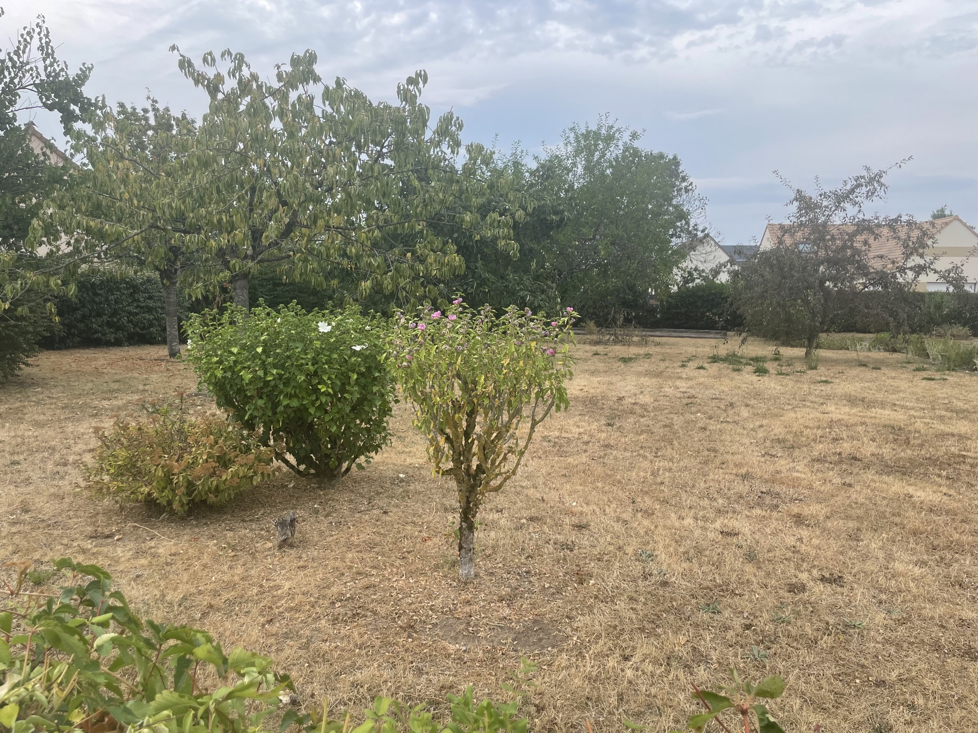 Nouveauté LA SUZE SUR SARTHE, terrain constructible proche c
